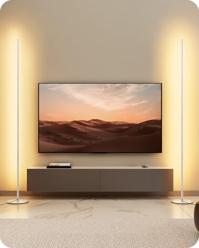 EDISHINE 2 Pack LED Floor Lamp, 146cm Minimalist Dimmable, 3000K, Silver | Standing Lamp with Foot Switch, Stepless Dimming, 0%-100% brightness, Tall Corner Lamp for Living Room, Bedroom, 3000K