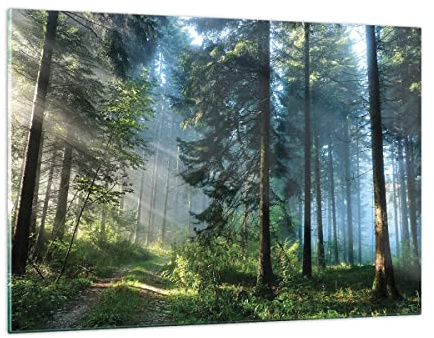 ARTTOR Decoracion Salon Bosque Amanecer El Sol Vidrios decorativos 120x80cm Cuadro Sobre Vidrio Moderno Cocina Cuadros Pared Impresiones Impresión en Cristal Wall Art Prints Grande XXL GAA120x80-4398