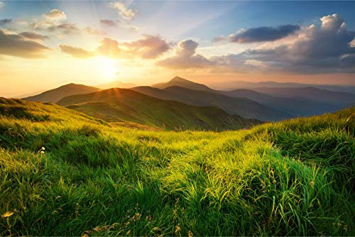 Muralo Vlies Fototapete 360 x 240 Natur Berge Landschaft Tapete Panorama Felsen Steine Wald Wohnzimmer Schlafzimmer Wandbilder XXL Wand Br. 360 cm x Hö. 240 cm