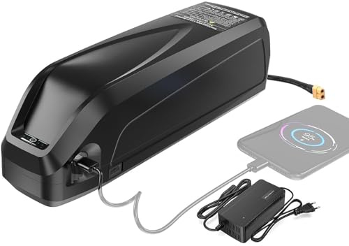 Ebike Batterie 24V 15AH 20AH, Fahrrad-Batterien 24V 15000MAH 20000MAH eingebauter BMS mit Ladegerät 24V Elektrofahrrad Pedelec für 1000W 800W 750W 500W 200W Motor 24V20Ah,4pin
