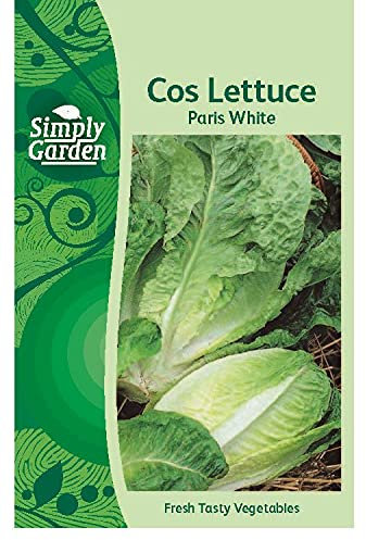 Simply Garden Cos Lettuce Paris White Vegetable Seeds Grow Your Own Garden