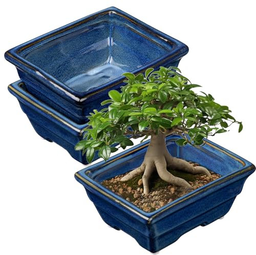 Oairse Set of 2 Bonsai Pots Shallow Succulent Planters for Live Bonsai Trees, 16cm/6.3 Ceramic Plant Pot for Indoor/Outdoor Succulents with Drainage Hole, Cactus Plant Pot, Blue Flower Pot