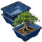 Oairse Set di 2 vasi per bonsai poco profondi, per bonsai vivi, vaso in ceramica per piante grasse da interno con foro di drenaggio, vaso per bonsai da esterno, vaso per fiori in ceramica