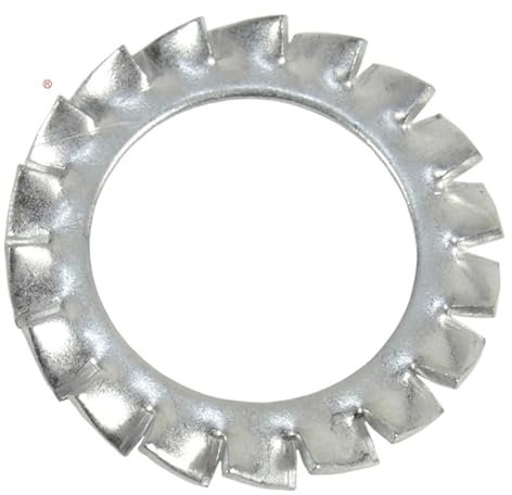 Graiting 20-1000 Arandelas de Seguridad dentadas con Dientes externos(Zinc White,20 (20 Pcs))