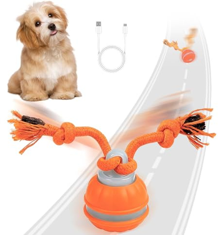 Pallina Interattiva per Cani, Palla Interattiva per Canis con Corda & Canto degli Uccelli, Giochi per Cani Elettrico Pallina Canis per Cuccioli, Piccoli e Medi, Ricaricabile Tramite USB (Arancione)