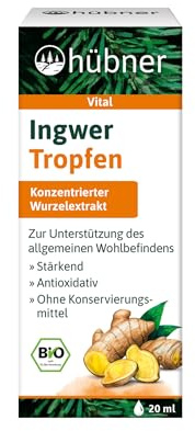 Hübner Ingwer Tropfen (20 ml)