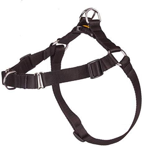 Dingo Hundegeschirr Große 70 (52-74 cm) Breite 2 cm Schwarz kein Ziehen Geschirr aus Polypropylenband Anti Zug Geschirr No Pull für Ihren Hund Brustgeschirre