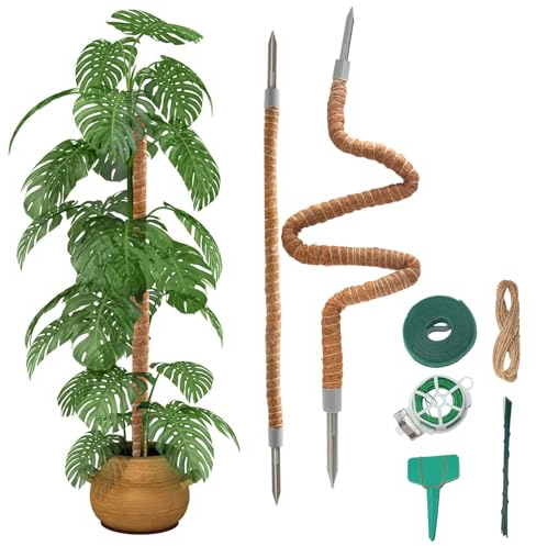 VirtuGro 2pcs Monstera Rankhilfe Pflanzenstütze Biegsame Rankhilfe Zimmerpflanzen Aus Kokosfasern Moosstab für Monstera Natürlicher Kokosstab 60cm/70cm/100cm/120cm (120cm+120cm)