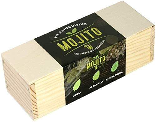 Kit de plantation Mojito (Menthe, basilic et menthe poivrée), Vert