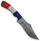 PAL 2000 SBRT-9412 Couteau à Lame en Acier Fait Main personnalisé Damas Teint os de Chameau Drapeau de la France poignée 23cm avec Gaine Chef Cuisine Billette Pliant Camping coutellerie Bijoux