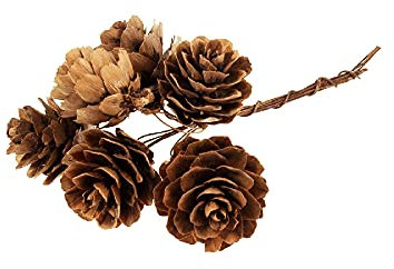 FloristryWarehouse Lot de 36 mini pommes de pin naturelles sur fils