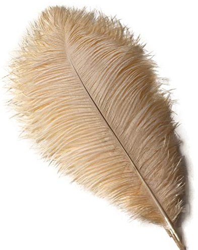 Sowder 10pcs Strauß-Federn 12-14inch (30-35cm) für Haupthochzeits-Dekoration (Champagne)