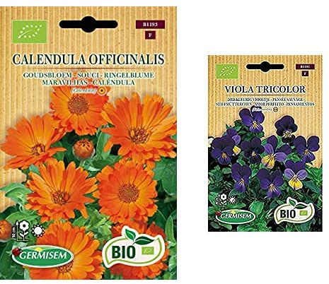 Germisem Bio Graines Souci+Pensée sauvage