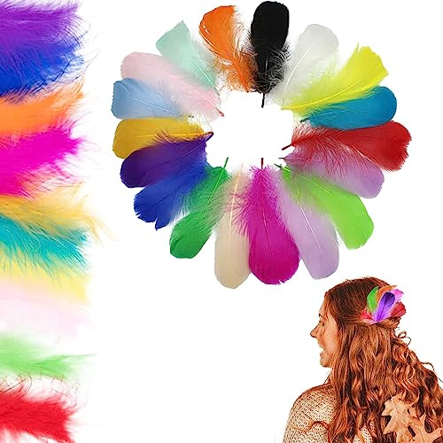 Bunte Feder, 200 Stück Dekofedern Zum Basteln Natürliche Gänsefeder Bastelfedern, Flauschige Federn in Gemischte Farben Für DIY Handwerk Basteln Feder Traumfänger Party Dekoration Karneval Halloween