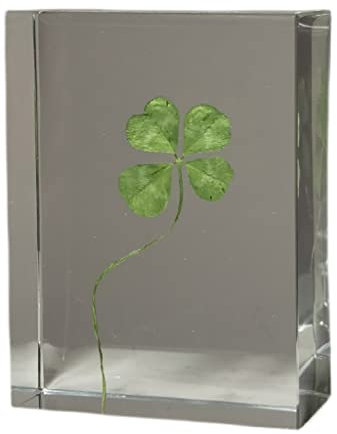 Guoyoocc Echte Blumen-Briefbeschwerer Vierblättriges Kleeblatt,Epoxidharz,einzigartiger Pflanzenblumen-Briefbeschwerer, Familie,Freunde,Paare und Kinder