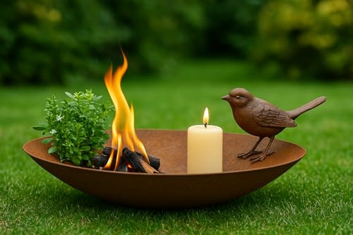 Der-Porzellan-Laden Rostdeko Brasero rond 40 x 40 cm en métal, coupe décorative rustique aspect rouille pour jardin, terrasse ou balcon, robuste