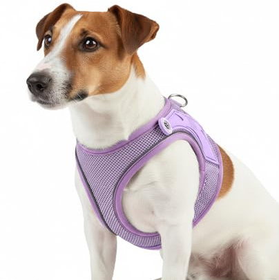 Max & Molly Hundegeschirr Matrix 2.0 Lavendel/S als Air Vest Geschirr, Step-In Geschirr mit Gotcha! Smart ID, Außenseite aus leichtem Air Mesh Material - Komfort für deinen treuen Begleiter