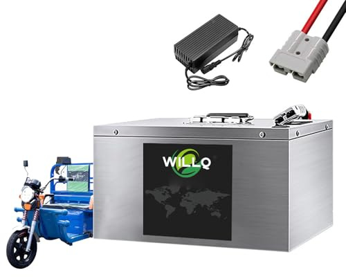 WILLQ 60V 30Ah 40Ah 50Ah 55Ah 60Ah 65Ah 70Ah 80Ah Electric Motorcycle Battery 60 Volts E-Tricycle Replacement Lithium-ion Battery with BMS Protection Board