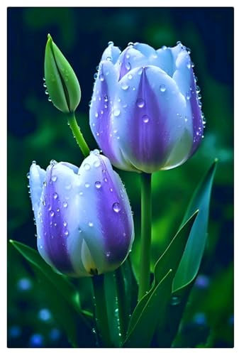 Tulip Plants for Sale,Tulip Bulbs Mix,Good for Containers/Cut Flowers/Greening Flower/Natural Organic/Tulip Plants Bulbs/Wedding Flowers-3bulbs-A