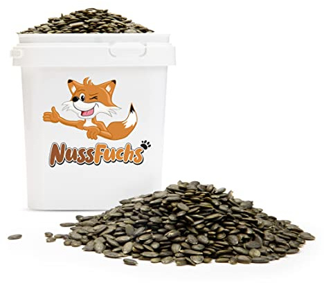 Kürbiskerne 1,5kg im Eimer grün geschält naturbelassen gereinigt NussFuchs