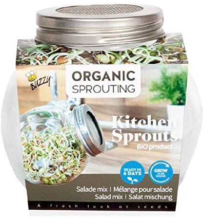 BIO Sprossen Anzuchtset - 1 Sprossenglas im Set mit Probepackung Spossensamen - 7,5g Salatmischung - Keimglas für Sprossen - Keimschalen für Sprossen - Sprouting