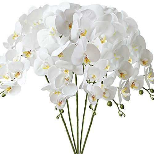 FagusHome 5 Stück Künstliche Phalaenopsis Blumen 80cm Weiß Künstliche Orchideenblumen Stammpflanzen für Wohnkultur