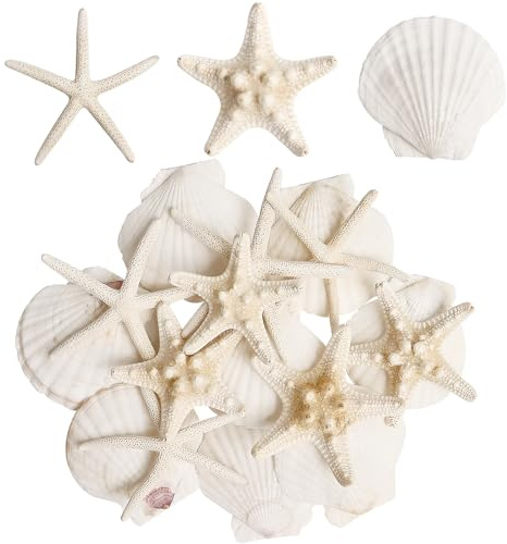 HAPYSHOOP 16 Pieces Starfish and Scallop Shells for Crafts 2.6-3.8 Large Seashells Natural Sea Shells for Crafts Christmas Decor Beach Party Wedding Fishtank