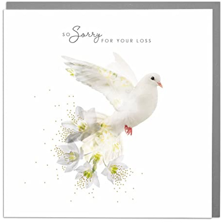 Lola Design - So Sorry for Your Loss, Dove Design - Sympathy Card to Show How Much You Care - Blank inside with Grey Envelope - Designed and Made in the UK - 150mm x 150mm