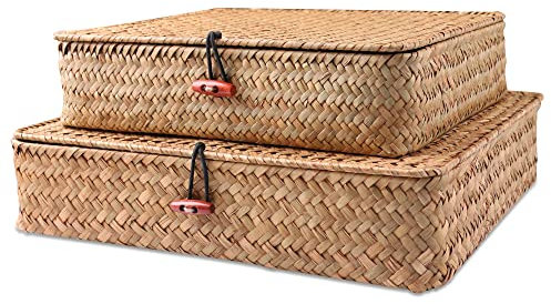 FEILANDUO Regalkörbe mit Deckel, Weidenkörbe für Regale, Organisation von natürlichem Seegras, Rattan, gewebte Organizer-Boxen, Boho-Heimdekoration, 2er-Set (natürlich)