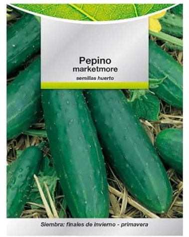 Semillas Pepino Marketmore para Siembra en Huerto Urbano