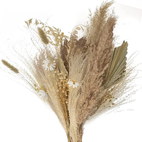 Aloha Flowers® Trockenblumen - Flauschige 60 cm - Pampasgras groß - absoluter Blickfang als Deko - natürlich getrocknete Blumen für Dein Zuhause - mach es dir gemütlich!