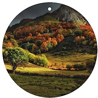 Berg Vegetation bedruckte Lufterfrischerblätter, Auto-Duft, zum Aufhängen, Filz, aromatische Räucherstäbchen, für Schlafzimmer, Kleiderschrank, Schuhschrank, runde Form