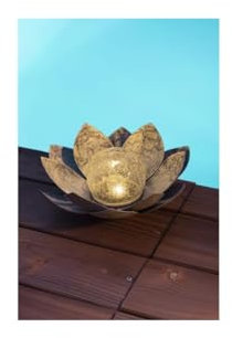 Nénuphar solaire - GALIX