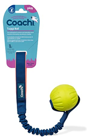 Coachi Tuggi Ball, Diseño Resistente, Ligera, Segura y Divertida, Goma elástica, Apta para Perros y Cachorros, Adiestramiento con recompensas, Llame a su Perro, Evite Que muerda y mastique, Agilidad.