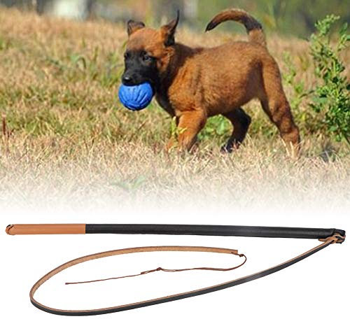 Aids Hundepeitsche, 53 × 3 × 3, aus Leder, mittelgroße und große Hunde, Farbe zufällig