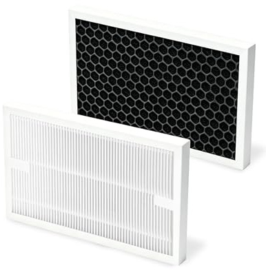 Confezione da 2 filtri deumidificatori compatibili con deumidificatori Bosch Dry Series 1000, 2000, 4000, pulizia dell'aria 2 in 1