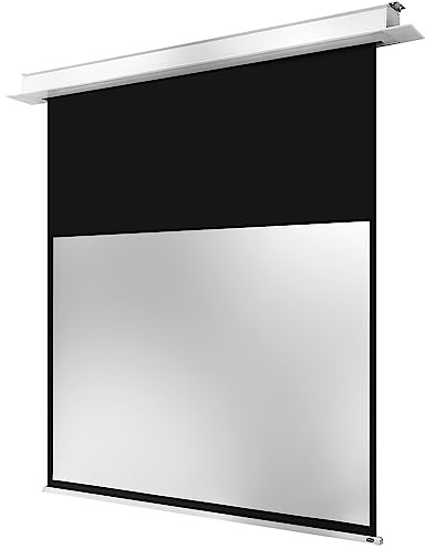 celexon Professional Plus Deckeneinbau Motorleinwand 140 | 300x187 m 16:10