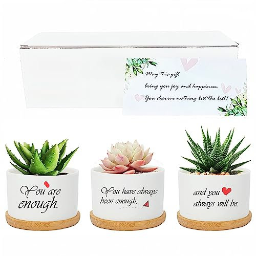 Alytimes Plant Pots Indoor, Ceramic Herb Planter Outdoor Succulent Flower Plant Pot House Window Planter with Drainage Hole and Saucer Birthday for Women (You are enough)