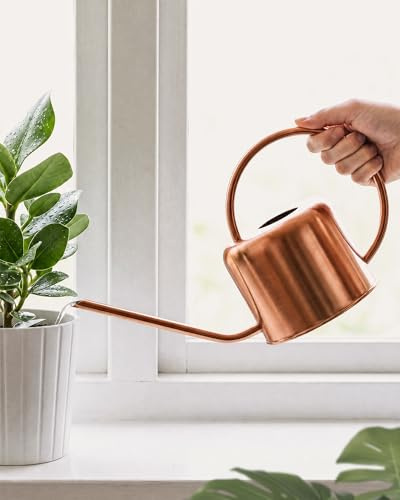 Bamworld Arrosoir pour Plantes d'intérieur, Petit arrosoir avec Long Bec, arrosoir en métal pour intérieur en Or Rose pour Un contrôle précis du débit