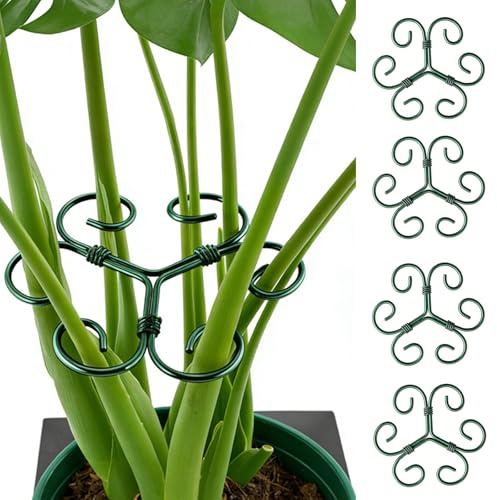 KERYBW Monstera Lot de 4 supports pour plantes d'intérieur en métal pour fleurs, roses, tomates