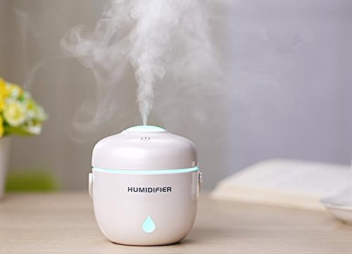 Infinitely Great Home Decor Center 1Pcs Electric Rice Cooker Shape Quiet USB 230ML Mini Air Humidifiers Bedroom Decoration (white)