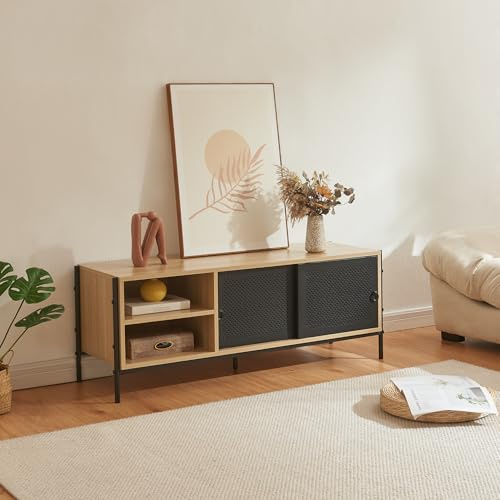 [en.casa] TV Schrank Tysnes Lowboard mit 2 Schiebetüren Fernsehtisch mit Kabeldurchlässen TV Kommode Fernsehschrank 120 x 40 x 45 cm Metallgestell Eichenoptik/Schwarz