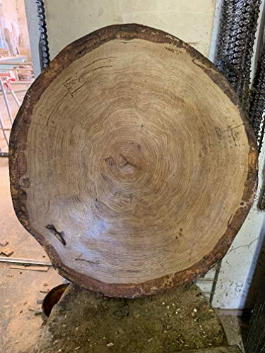 KJR Holzmanufaktur Baumscheibe, Holzscheibe,ca.60x10 cm, Tischplatte, Eiche, geschliffen, geölt