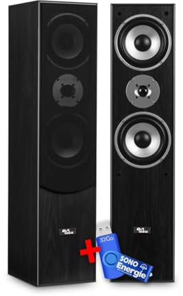 Evidence Acoustics Paire d'enceintes HiFi/Home-Cinéma EA700-BK - 2x500W PMPO - Bass Reflex à 3 Voies + Clé USB 32G