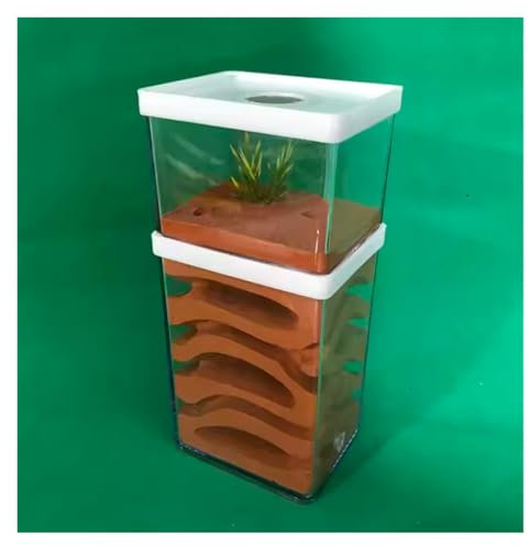 REEKOS Ameisenhaus Ameisenfarm Ameisenburg Ant Castle Transparent Kunststoff Ant Farm Gips Ant Werkstatt Ant Nest Farm Fütterung Box Ant Nest Castle Ameisennest Ameisen Zucht Box