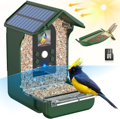 Rkdely Vogelhaus mit Kamera, 1080P HD Vogelfutterspender mit Kamera Solarenergie Vogelfutterhaus mit Kamera Automatische Fotografie & Video Aufnehmen Vogelhaus Kamera IP65 Wasserdicht- Grün