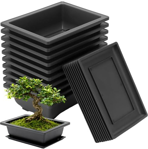 10 Stück Trainingstöpfe Bonsai Schale mit Untersetzern, 23 x 17 x 8cm | MUKSEUT Schwarz, Bonsaitopf Kunststoff, Rechteckige Bonsaitöpfe, für Wohnzimmer Büro Garten