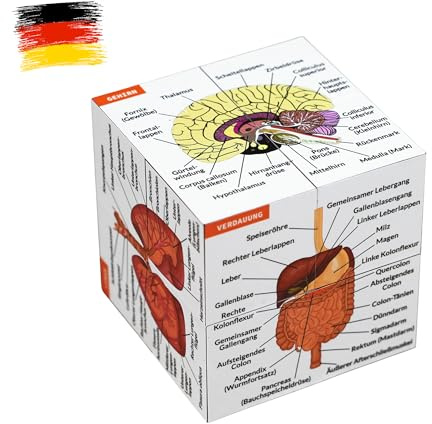 Menschliche Anatomie Studienwürfel AUF DEUTSCH | 9 Teile des menschlichen Körpers lernen | Anatomie Modellwürfel | Tolle Geschenkidee für Krankenschwestern und Medizinstudenten