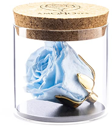 Amoroses Bijou - Rosa Eterna Estabilizada con Cáliz Chapado en Oro 24K en Frasco de Cristal | Idea de Regalo bebé Bautizo niño (Rosa Azul Cielo)