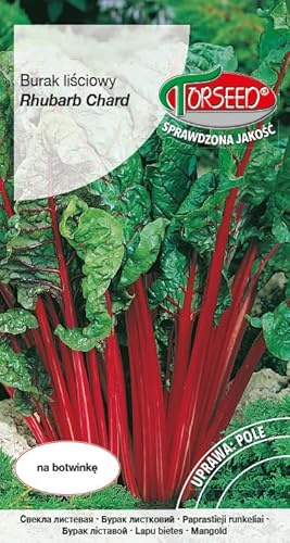Verdica Acelga de ruibarbo Beta vulgaris subsp. cicla Semillas - Rico en nutrientes, sabor similar a las espinacas con tallos de espárragos, siembra fácil de abril a junio para cosecha prolongada (10